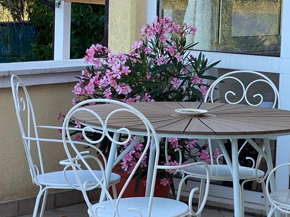 Villa Yucca Istra Labin  Eksteriør billede
