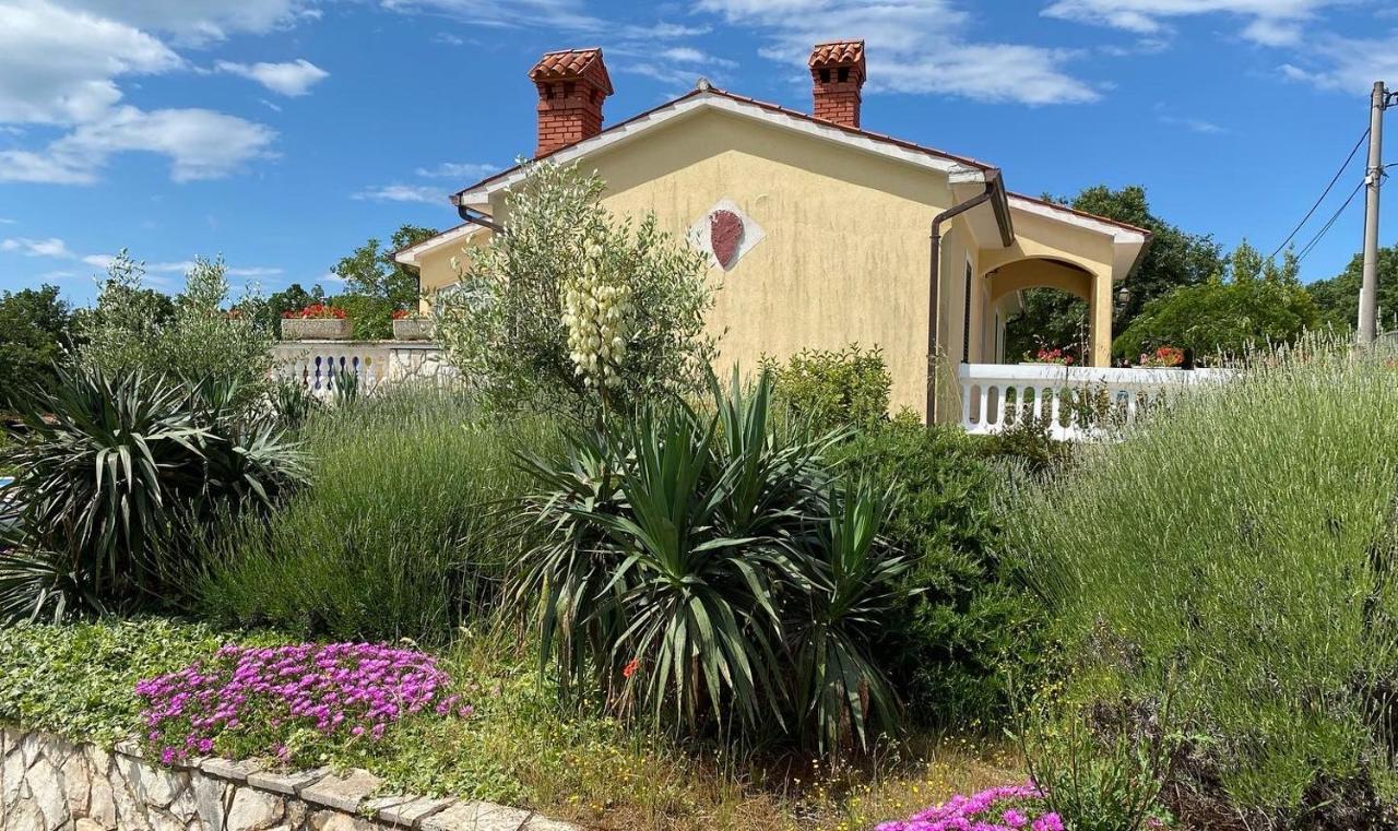 Villa Yucca Istra Labin  Eksteriør billede