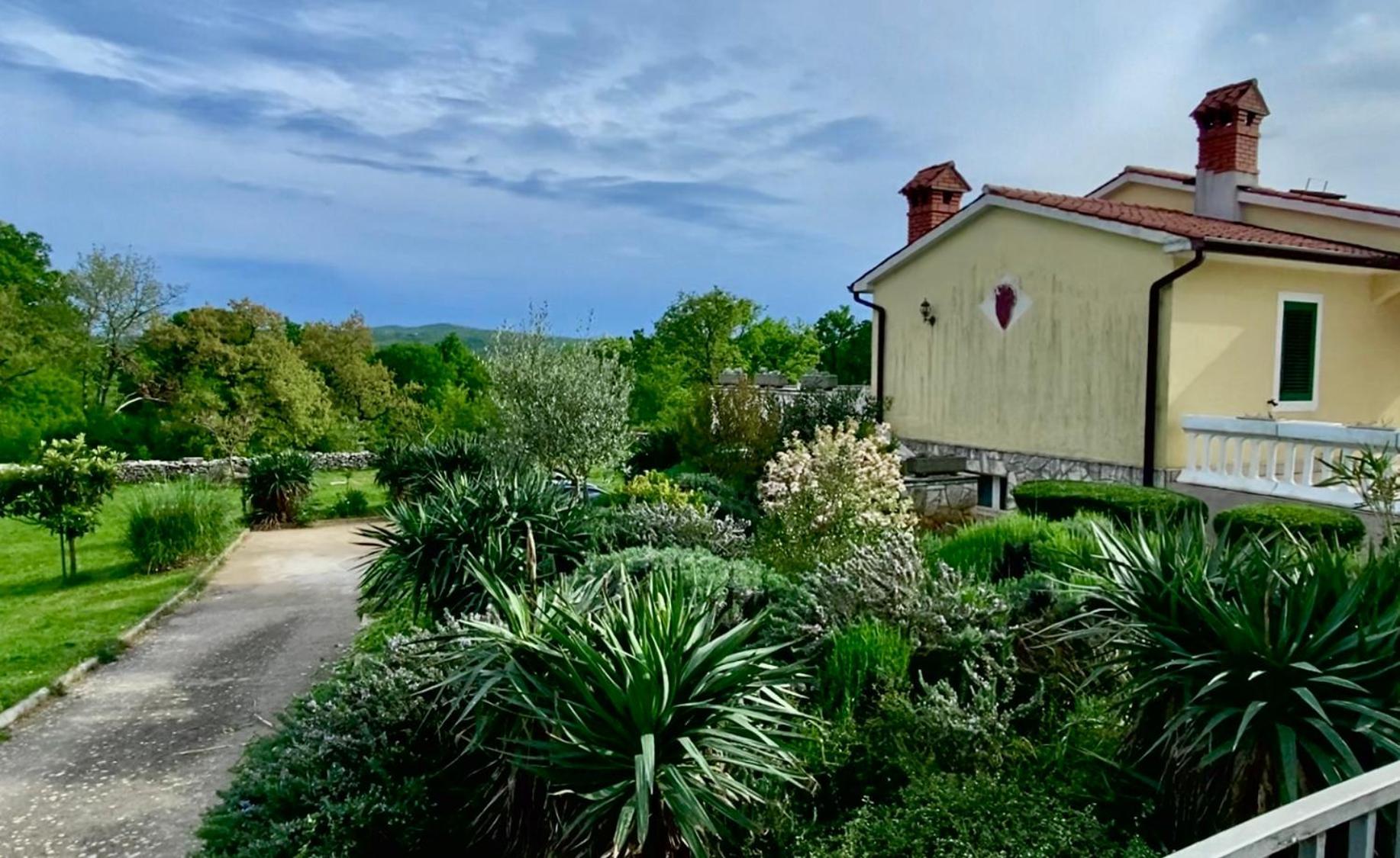 Villa Yucca Istra Labin  Eksteriør billede